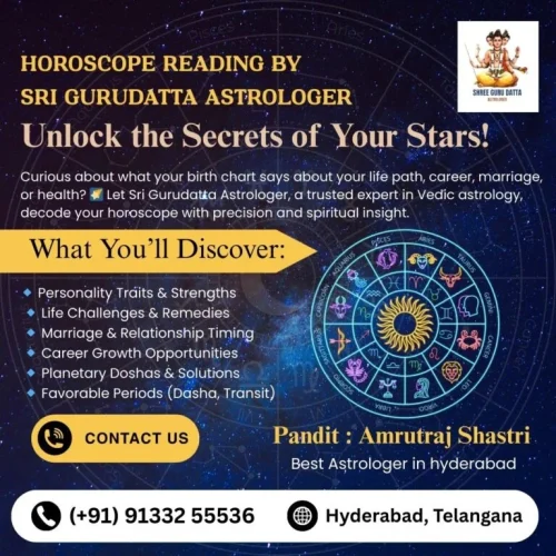 Horoscope-Reading-by-Sri-Gurudatta-Astrologer-1-768x768